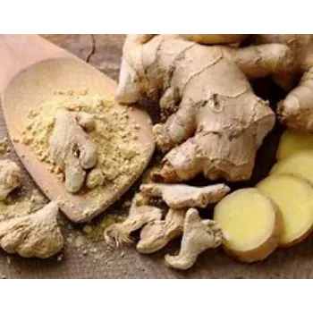 ginger-04-5220146-85392.webp