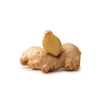 ginger-05-1693661-44374.webp
