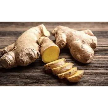 ginger-05-7608909-65527.webp