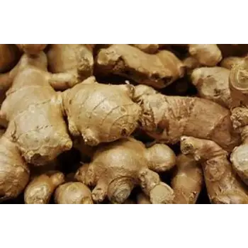 ginger-06-7542279-72656.webp