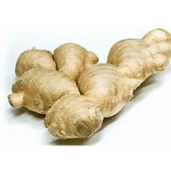 ginger-06-9135737-96420.webp