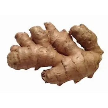 ginger-07-7778603-30390.webp