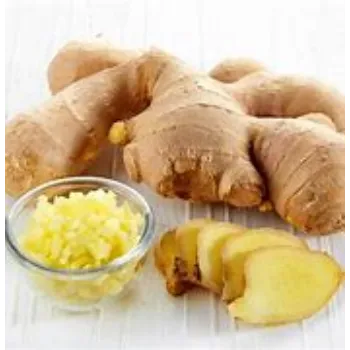 ginger-08-4183008-22559.webp