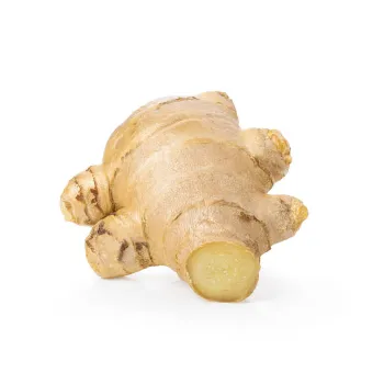 ginger-08-7076863-50249.webp