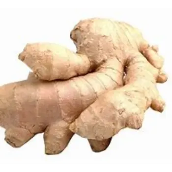 ginger-09-2470567-77643.webp