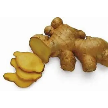 ginger-10-999214-51220.webp