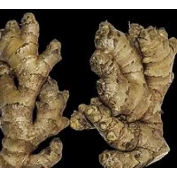 ginger-11-4272334-77967.webp