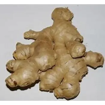 ginger-11-7080183-1332.webp