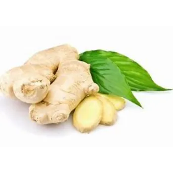 ginger-12-698979-39531.webp