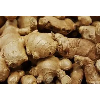 ginger-14-541186-89655.webp