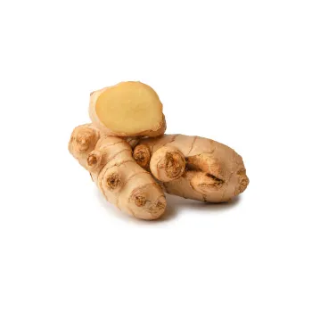 ginger-14-9305271-55351.webp