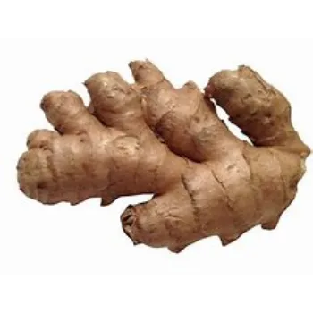 ginger-15-6220121-11881.webp