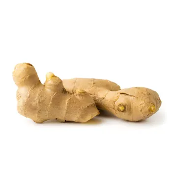 ginger-17-9316849-4830.webp