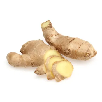 ginger-23-7122109-5577.webp