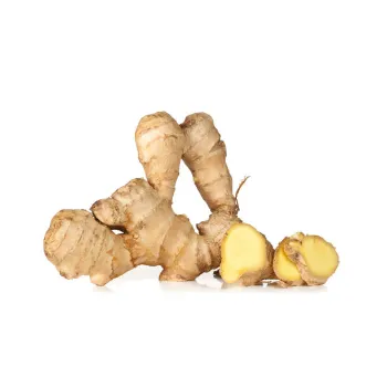 ginger-25-9308489-21175.webp