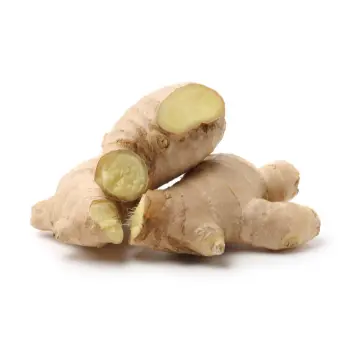 ginger-27-2159790-8255.webp