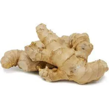 ginger-6834161-36745.webp