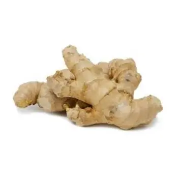 ginger01-2469817-55634.webp
