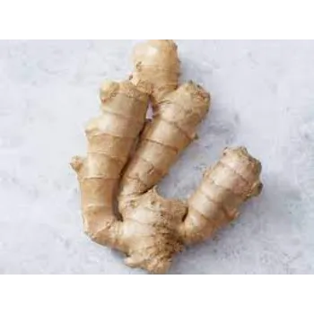 ginger01-5179159-99907.webp