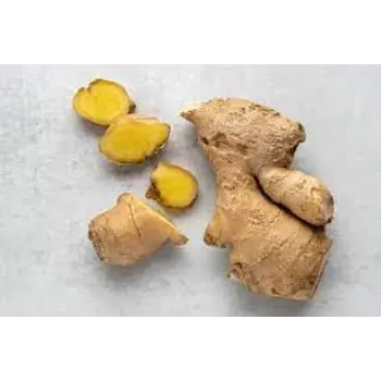 ginger02-4036353-82858.webp