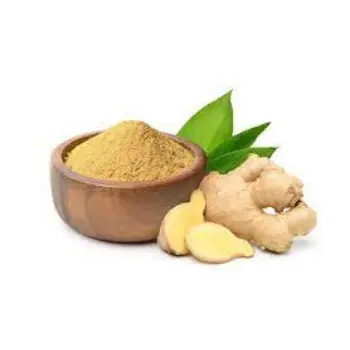 ginger04-1510377-63176.webp