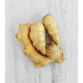 ginger04-6161395-49817.webp