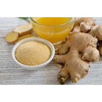 ginger05-2332885-99542.webp