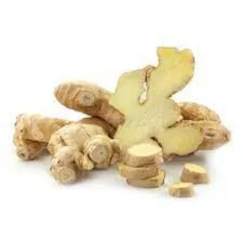 ginger05-2345438-8831.webp