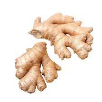 ginger05-9336375-68789.webp