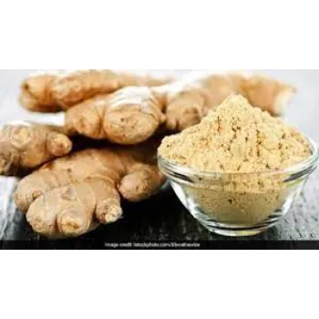 ginger06-3896454-27101.webp
