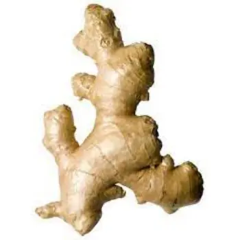 ginger06-5983757-71586.webp