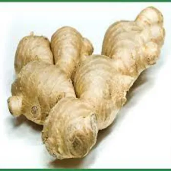 ginger07-2063948-41670.webp