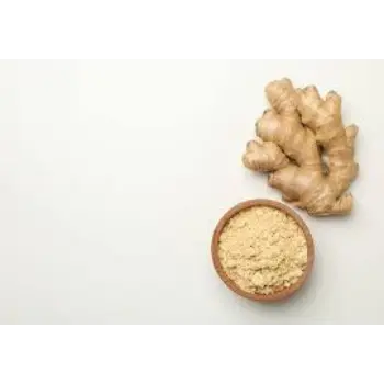 ginger07-7975020-60940.webp