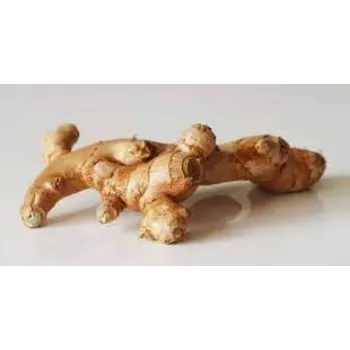 ginger08-1662259-64169.webp