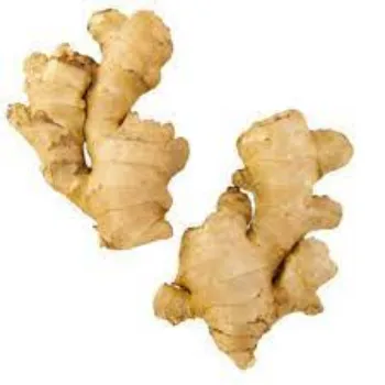 ginger09-3624178-89304.webp