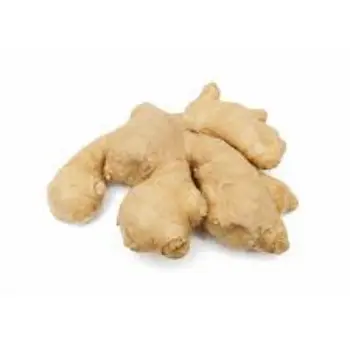 ginger09-6342702-16829.webp