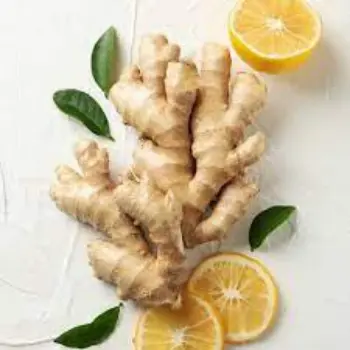 ginger09-9539816-79756.webp