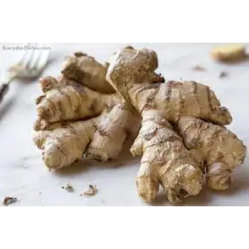 ginger10-7206246-57599.webp