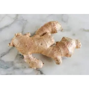 ginger11-402389-5045.webp