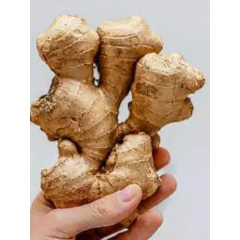 ginger11-998713-28820.webp