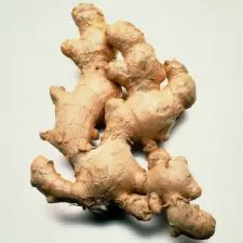 ginger14-9563430-23100.webp
