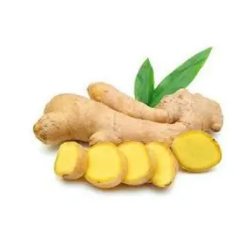 ginger15-9585237-88252.webp
