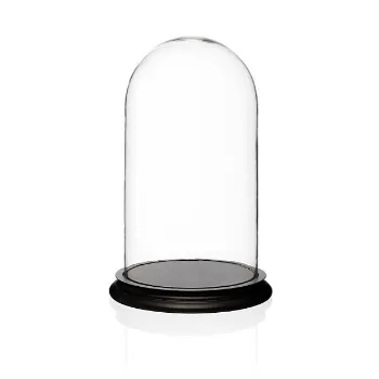Plain Glass Showcase glass-showcase-1-4779875-80623.webp