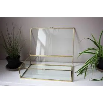 Glass Showcase glass-showcase-9-1682175-5315.webp