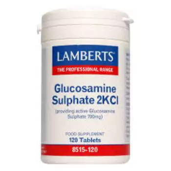 Glucosamine Sulphate glucosamine10-6493d3026a257-5047326-83096.webp