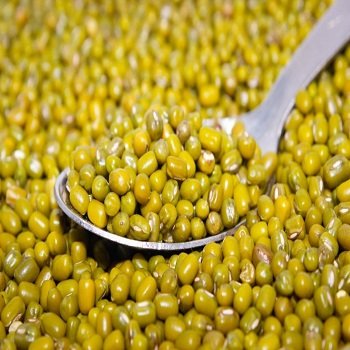 Green Moong Beans gmb.jpg