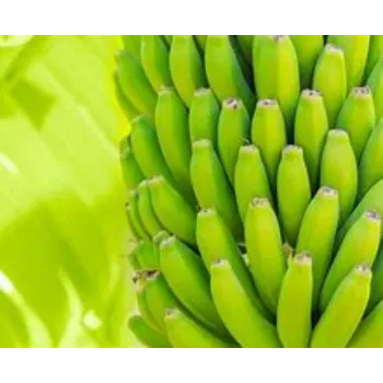 green-banana-05-632330-48868.webp