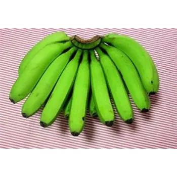 green-banana-14-8916010-45746.webp