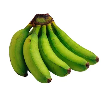 green-banana-25-7202638-48860.webp