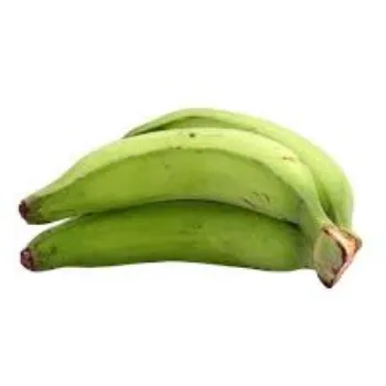 green-banana02-556999-49718.webp